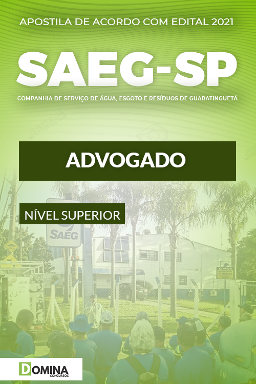 Apostila Concurso Público SAEG SP 2021 Advogado