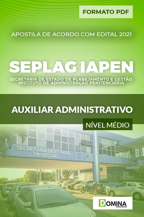 Apostila Seletivo SEPLAG IAPEN 2021 Auxiliar Administrativo