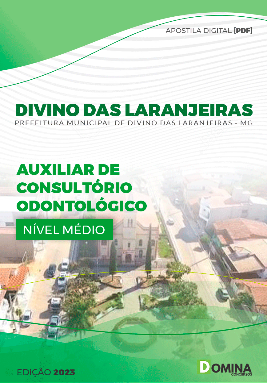 Pref Divino das Laranjeiras MG 2023 Auxiliar Consultório
