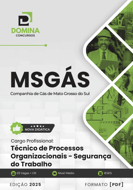 Apostila Técnico de Processos Organizacionais Segurança do Trabalho MSGás 2025
